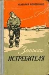 Записки истребителя