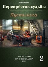 Перекресток судьбы. Пустышка. Книга вторая скачать