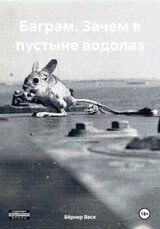 Баграм. Зачем в пустыне водолаз скачать