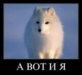 Мир новый проблемы старые. И главная - выжить скачать