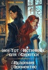 тот истинный для Сиротки. Академия Элементис скачать