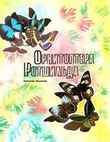 Орнитоптера Ротшильда