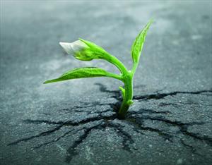 От первого лица скачать