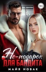 Не-подарок для бандита скачать