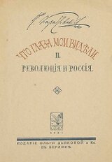 Что глаза мои видели. Том 2. Революция и Россия скачать