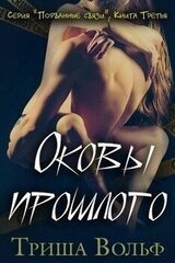 Оковы прошлого. Книга 3 скачать