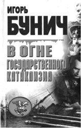 В огне государственного катаклизма скачать