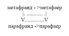 Сознание и голоса разума