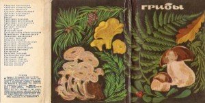 Грибы. Выпуск 1 скачать