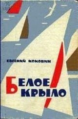 Белое крыло