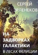 В лесах Фелиции