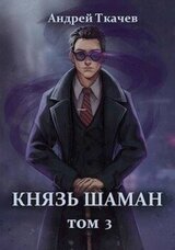 Князь шаман. Том 3 скачать