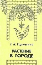 Растение в городе скачать