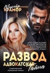 Развод. Адвокатская тайна скачать