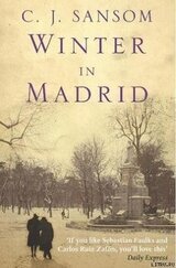 Winter in Madrid