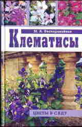 Клематисы