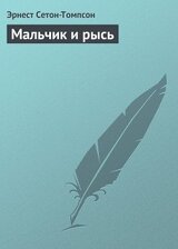 Мальчик и рысь скачать