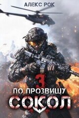 По прозвищу «Сокол». Том 3 скачать