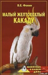 Малый желтохохлый какаду