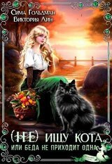 ищу кота, или Беда не приходит одна