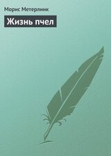 Жизнь пчел