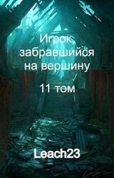 Игрок, забравшийся на вершину. Том 11 скачать