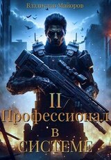 Профессионал в системе. Книга 2 скачать