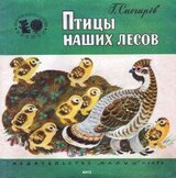 Птицы наших лесов скачать