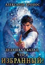 Дедушка сказал, что я избранный! Книга 1 скачать