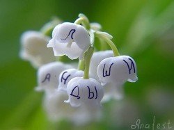 Ландыши скачать