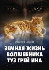 Земная жизнь волшебника Туз Грей Ина скачать