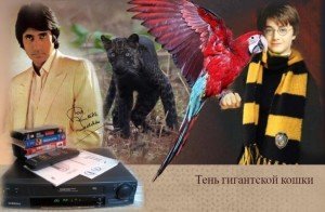 Тень гигантской кошки скачать
