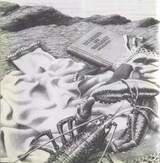 Тюленьи штаны скачать