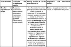 Пособия на детей в 2008-2009 гг. Порядок оформления, учета и выплаты