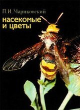 Насекомые и цветы