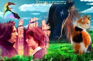 Крылья радуги