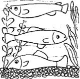 Аквариум: Корм и питание рыб