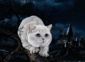 Кот. Просто кот скачать