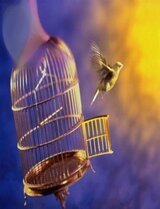 Книга Свободы скачать