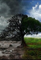 Хаос мое второе я скачать