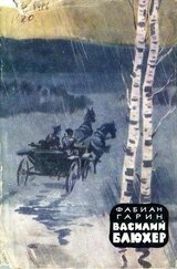 Василий Блюхер. Книга 1