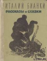 Рассказы и сказки с иллюстрациями