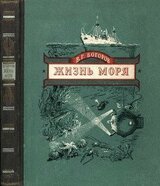 Жизнь моря