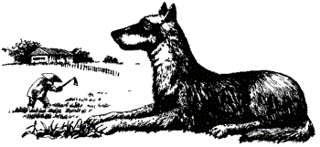 Счастье скачать