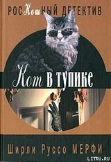 Кот в тупике