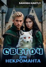 Светоч для Некроманта скачать