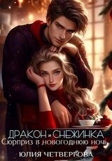 Дракон и Снежинка. Сюрприз в новогоднюю ночь скачать
