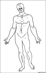 Акупунктура без иголок скачать