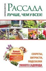 Рассада. Лучше, чем у всех!