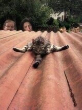 Доехала хорошо. Ваша Крыша